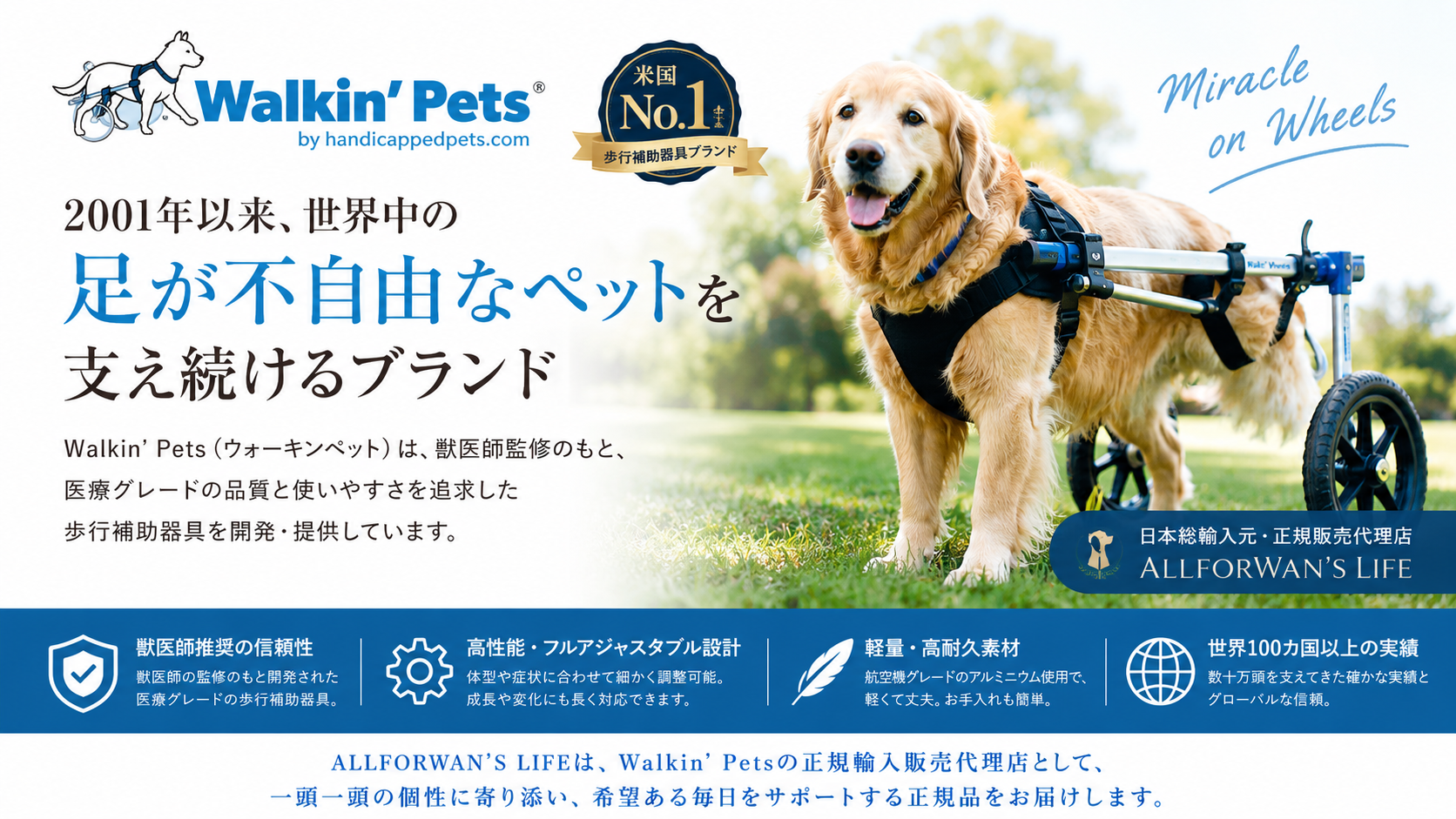 大型犬介護 歩行補助