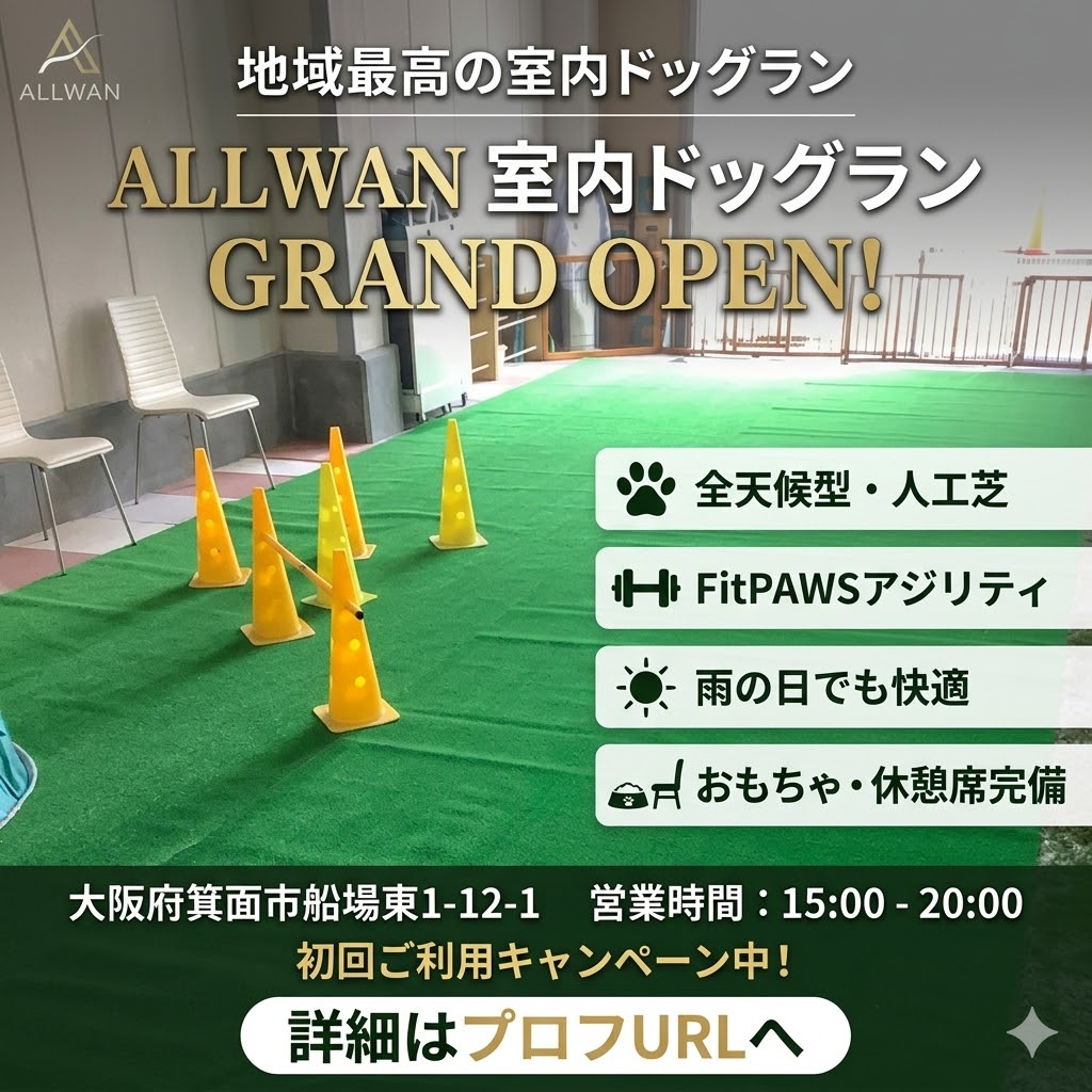 ALLWAN屋内ドッグランオープン