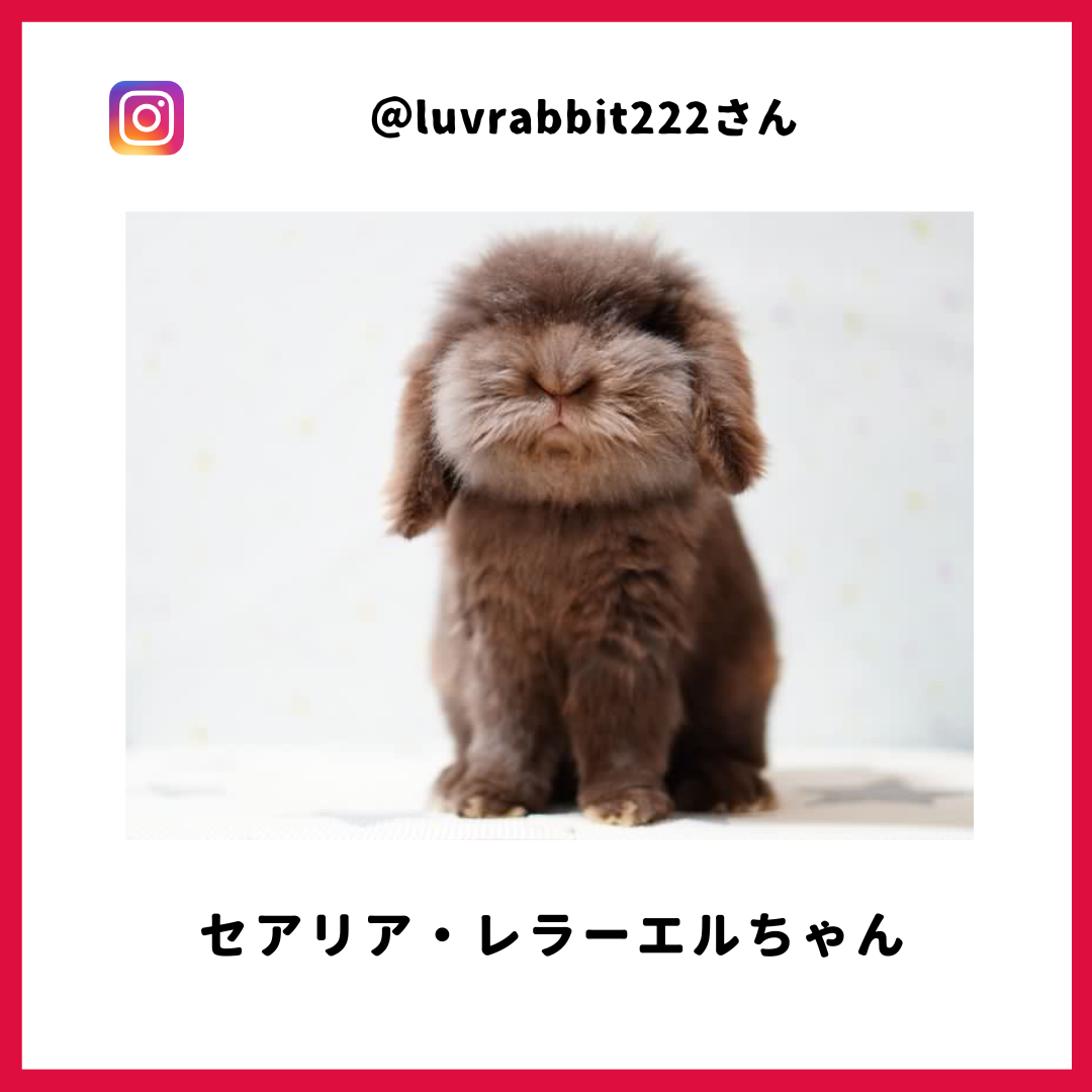 セアリアさん