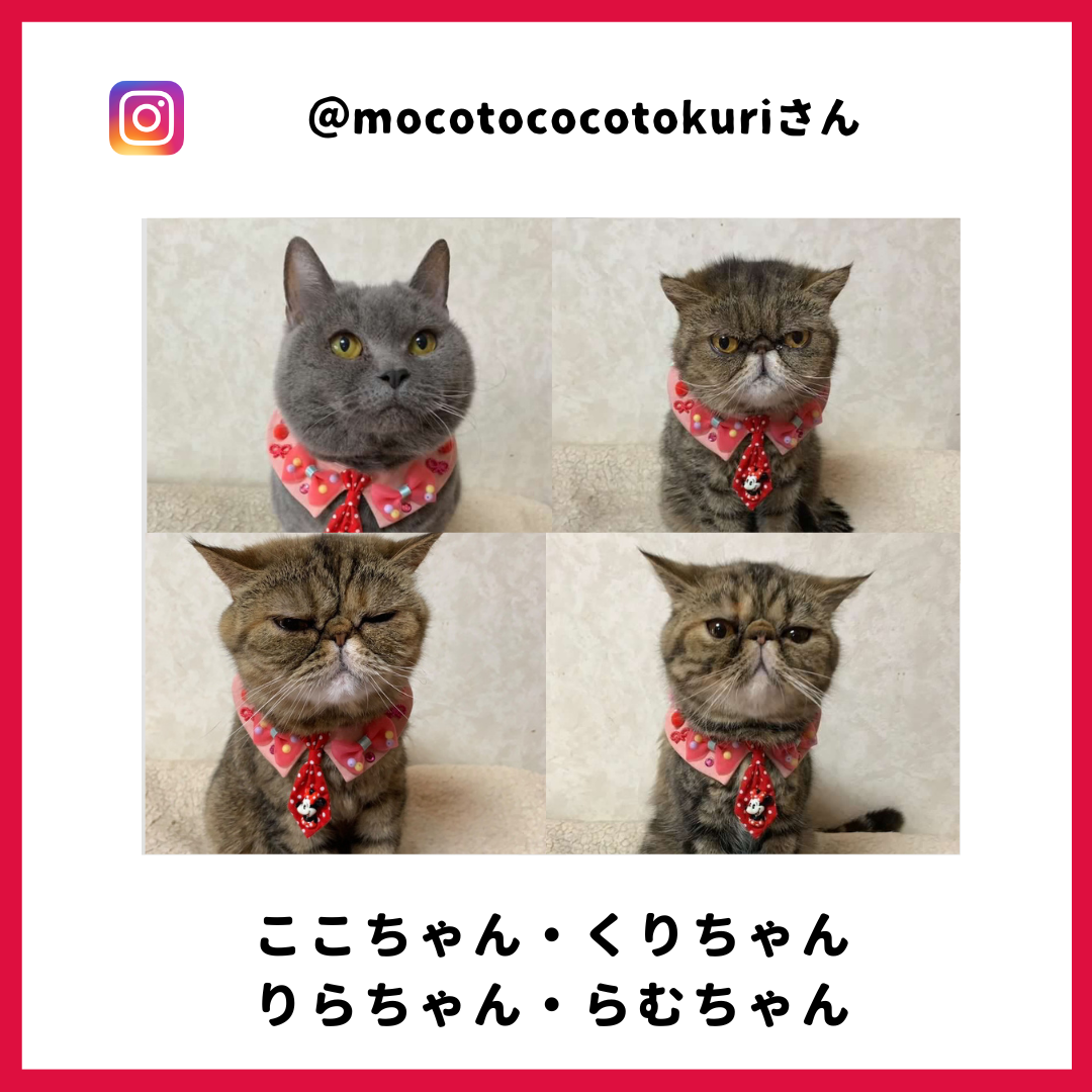 ここさん・くりさん・りらさん・らむさん