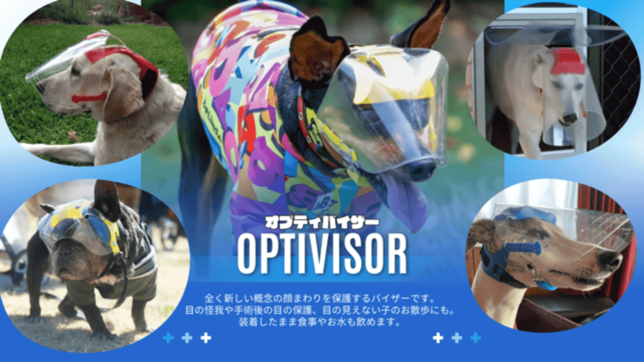 OPTIVISOR