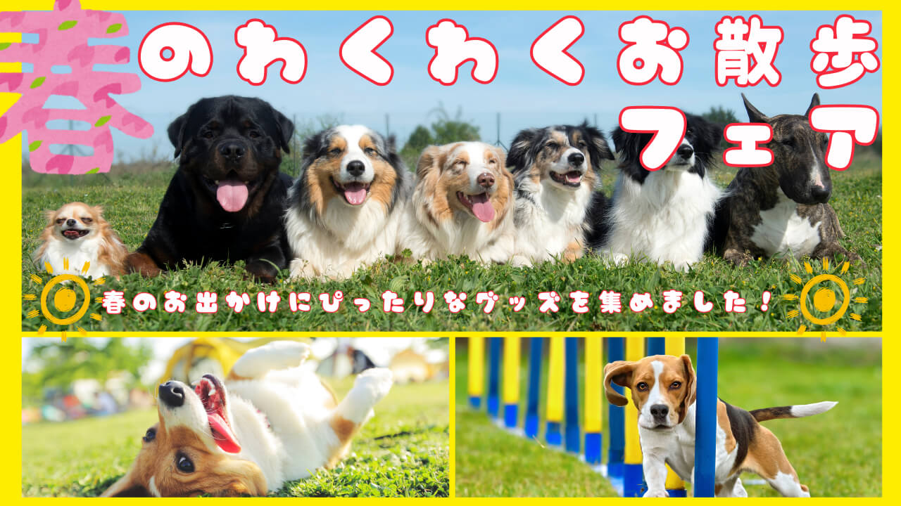 春のお出かけ