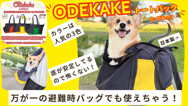 ODEKAKEキャリーバッグ