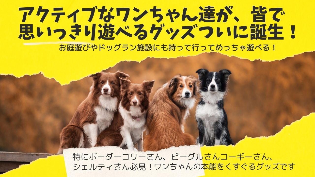 ALLWANパワフルプレイボール