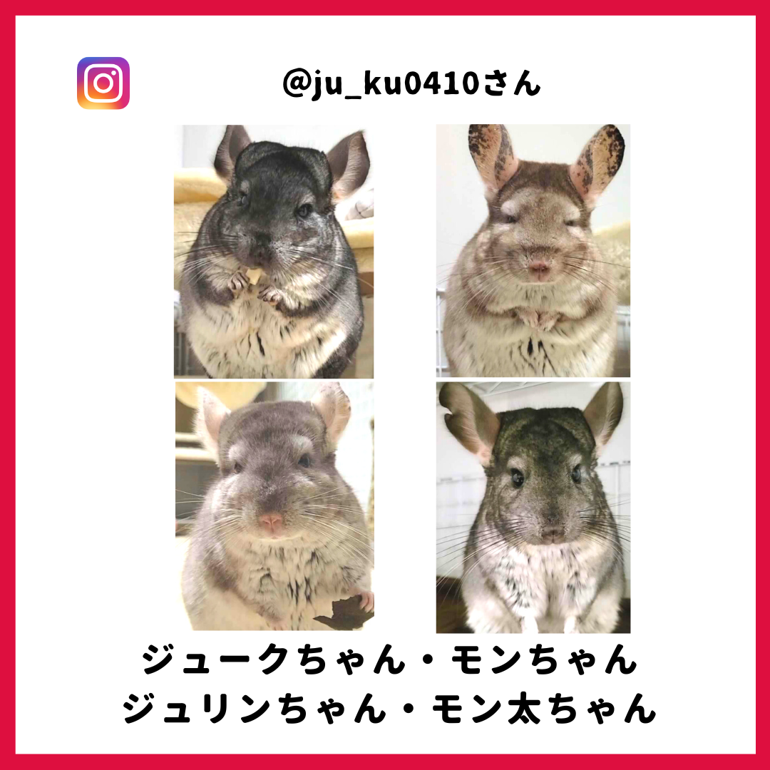 ジュークさん・モンさん・ジュリンさん・モン太さん