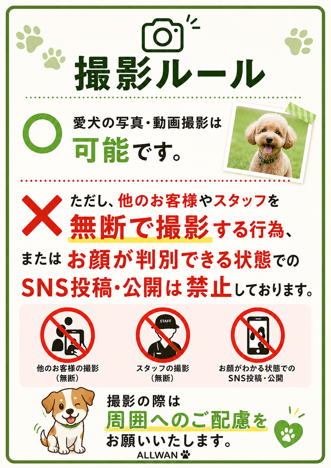 撮影ルール