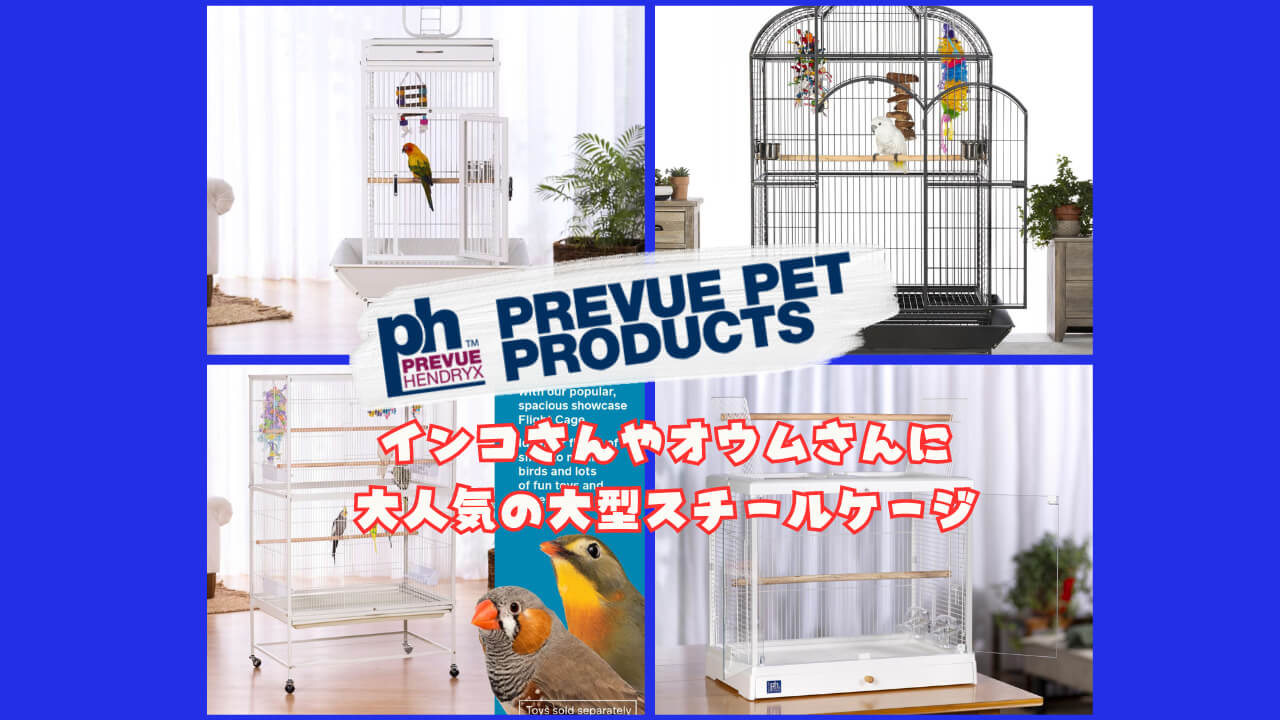 PREVUEPET