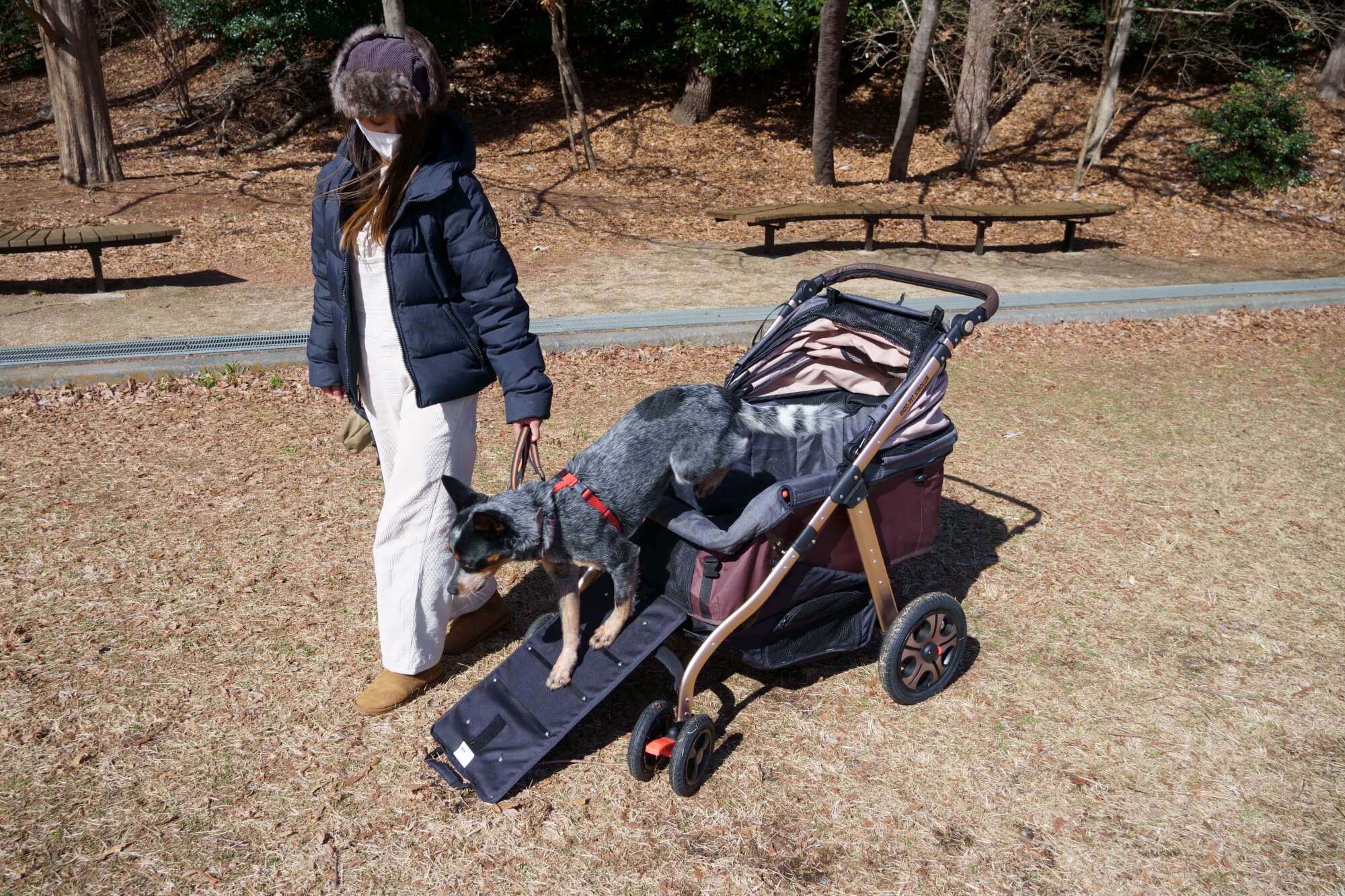 オールワンプレミアム ペットカート