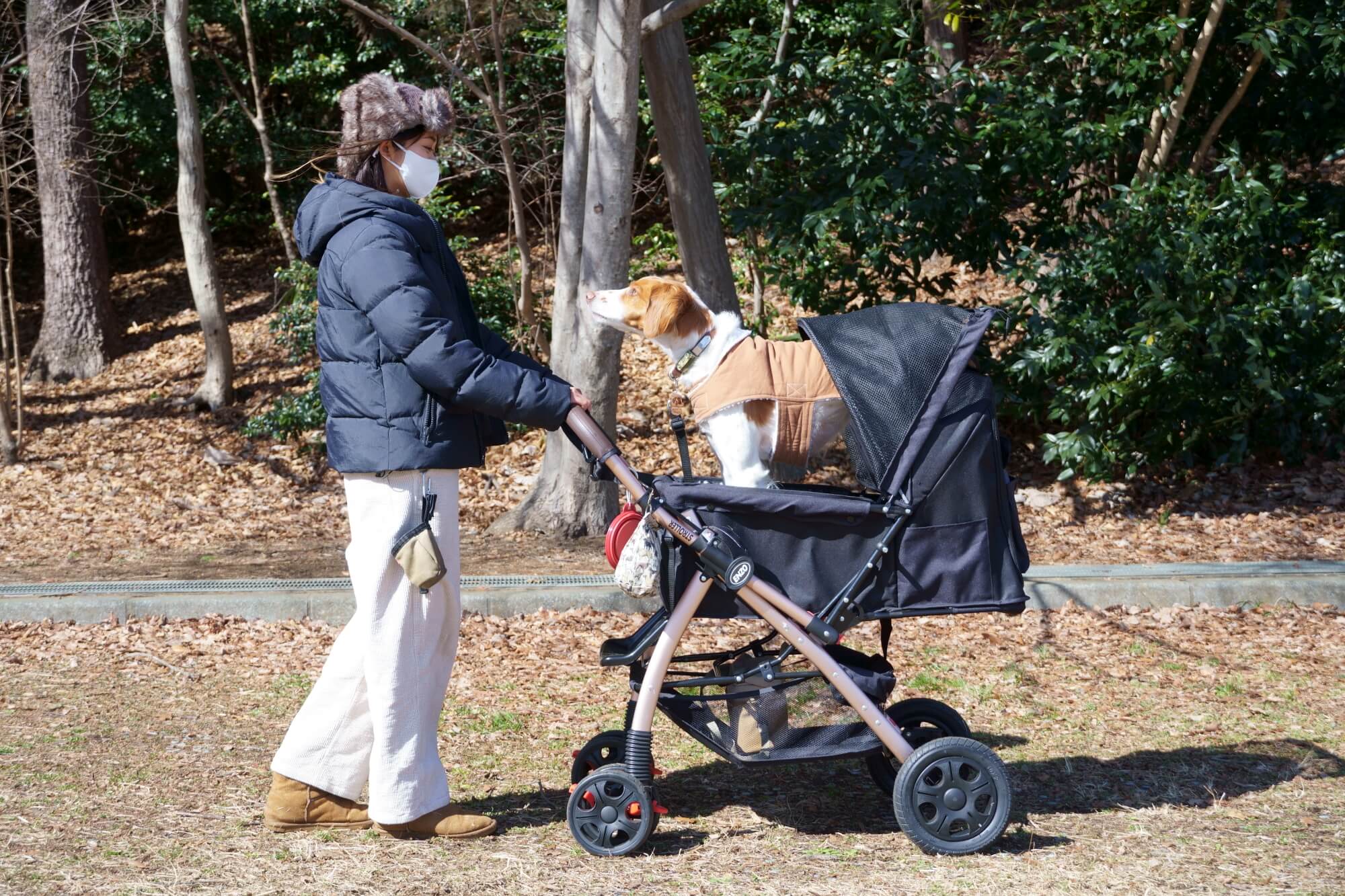オールワンフリーダム 対面式