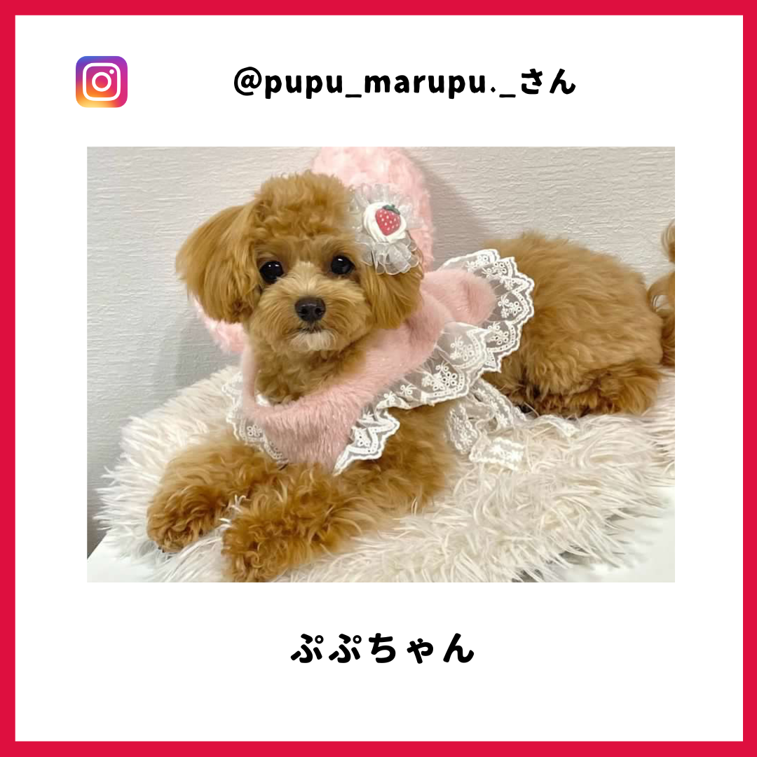 ぷぷさん