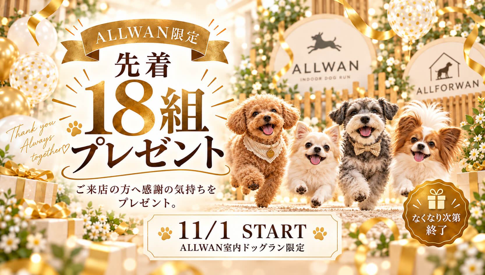 ALLWAN限定 先着18組プレゼント