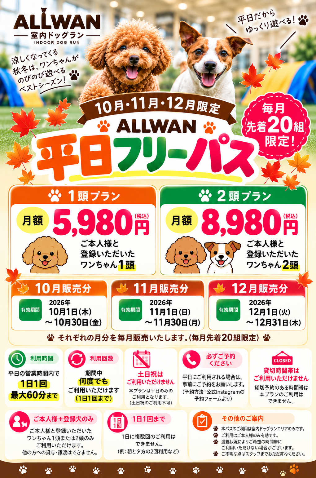 ALLWAN室内ドッグラン 平日フリーパス