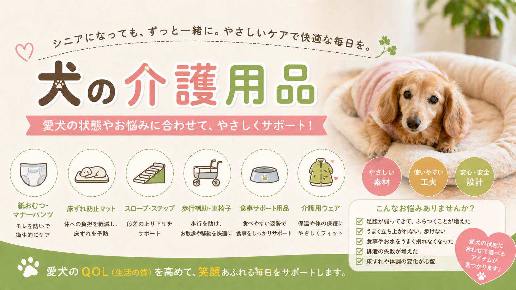 犬の介護・リハビリ用品の選び方：歩行補助リードや車椅子、サポーターの比較