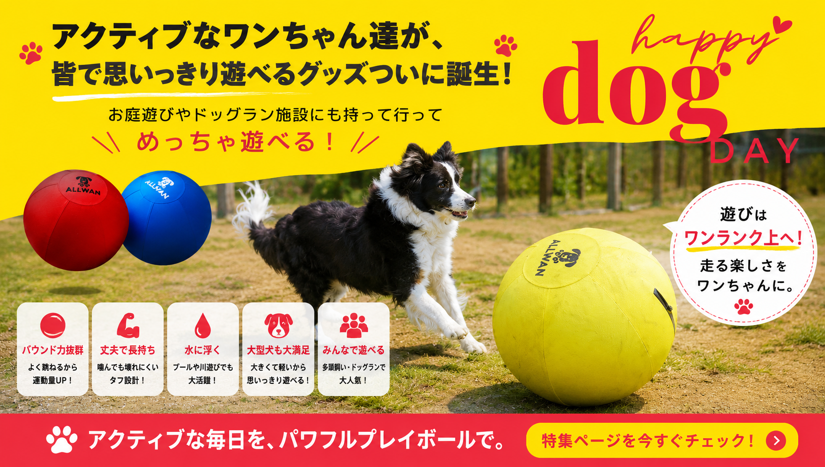 パワフルプレイボール特集