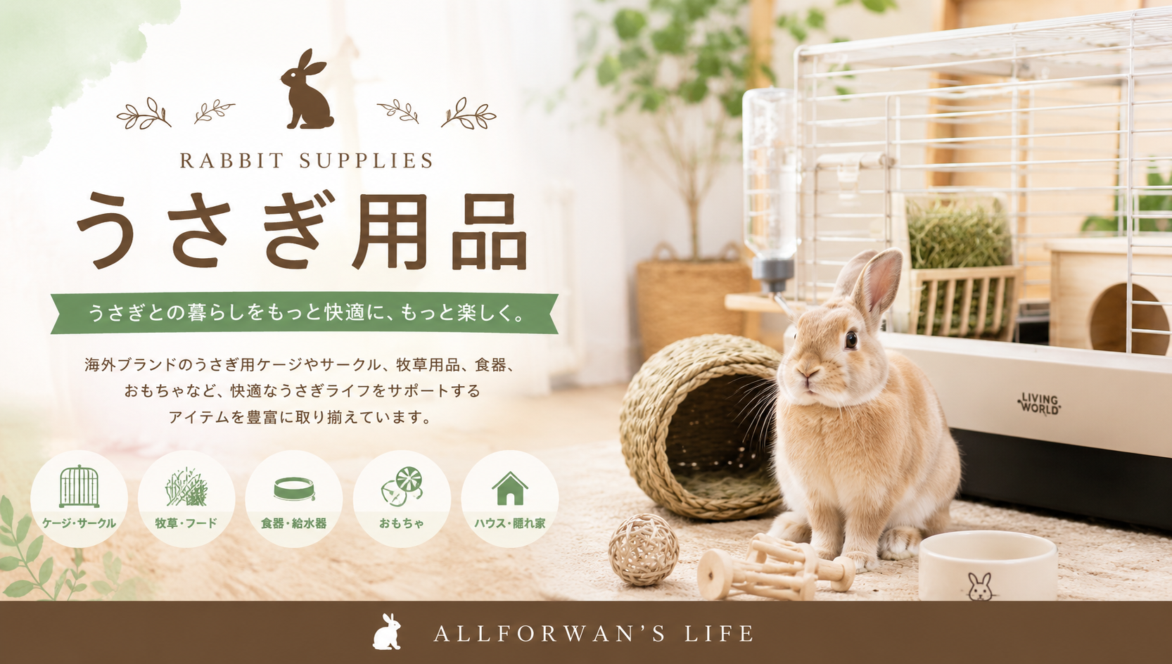 うさぎ用品