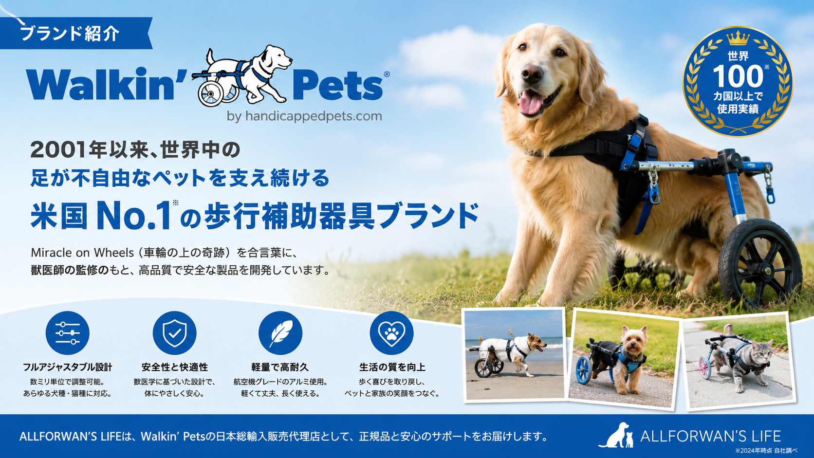 DM 変性性脊髄症 犬 歩行補助