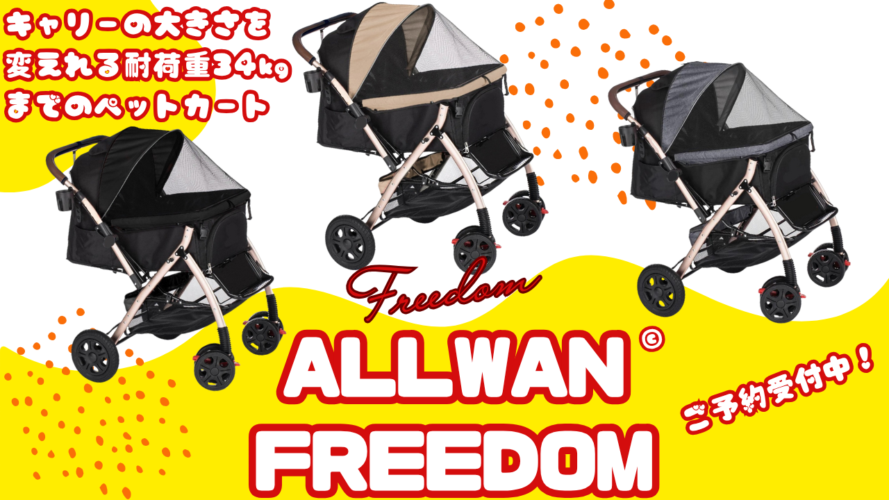 オールワンフリーダム