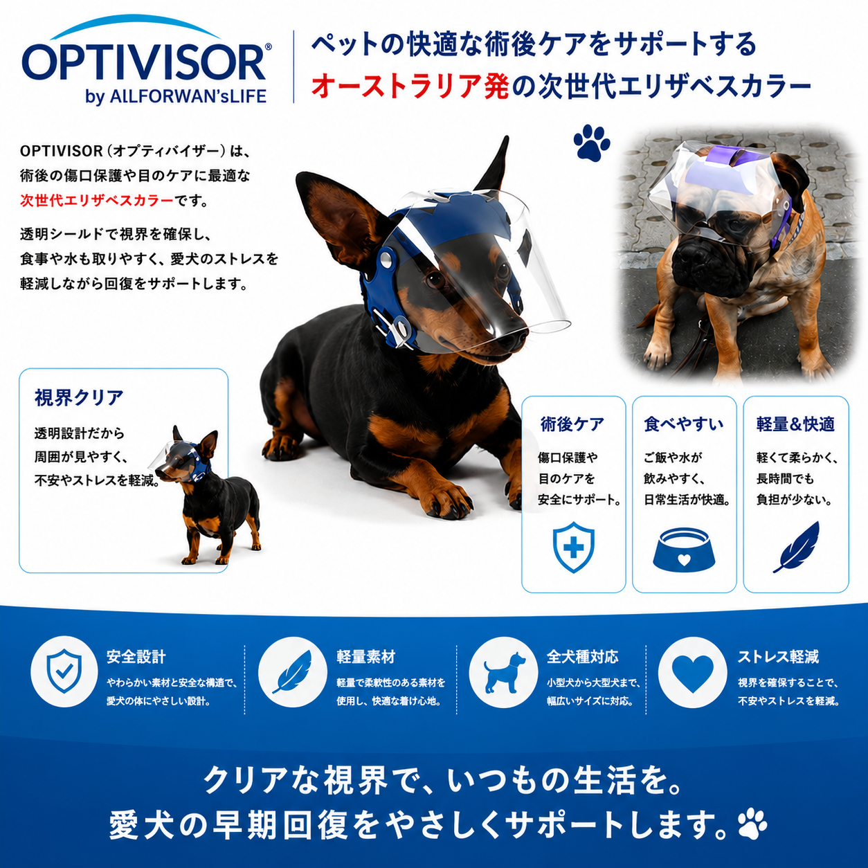 ペット用品色々　まとめ売り 海外ペット用品のセレクトショップ オールフォーワンズライフ