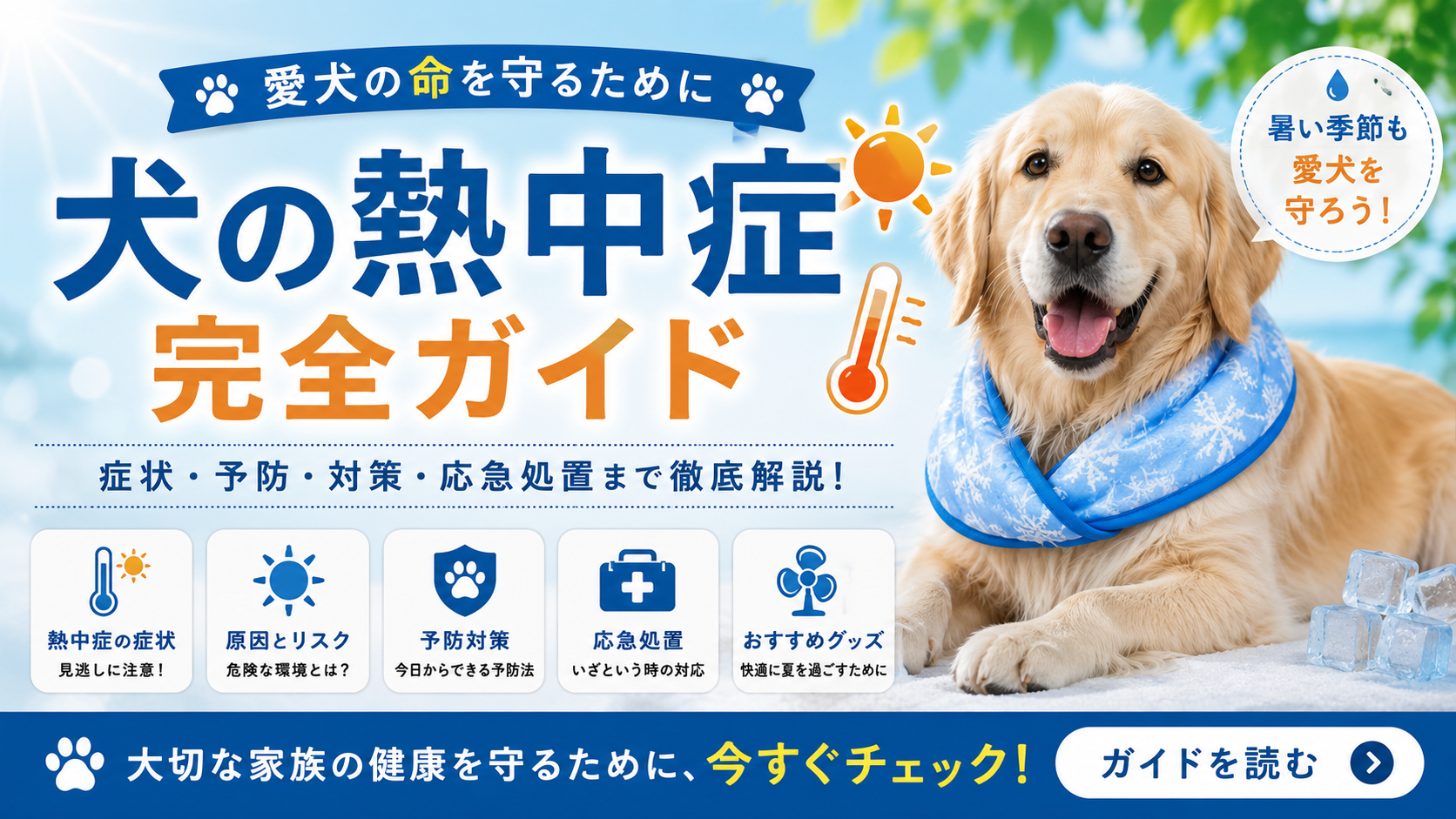 犬の熱中症対策完全ガイド