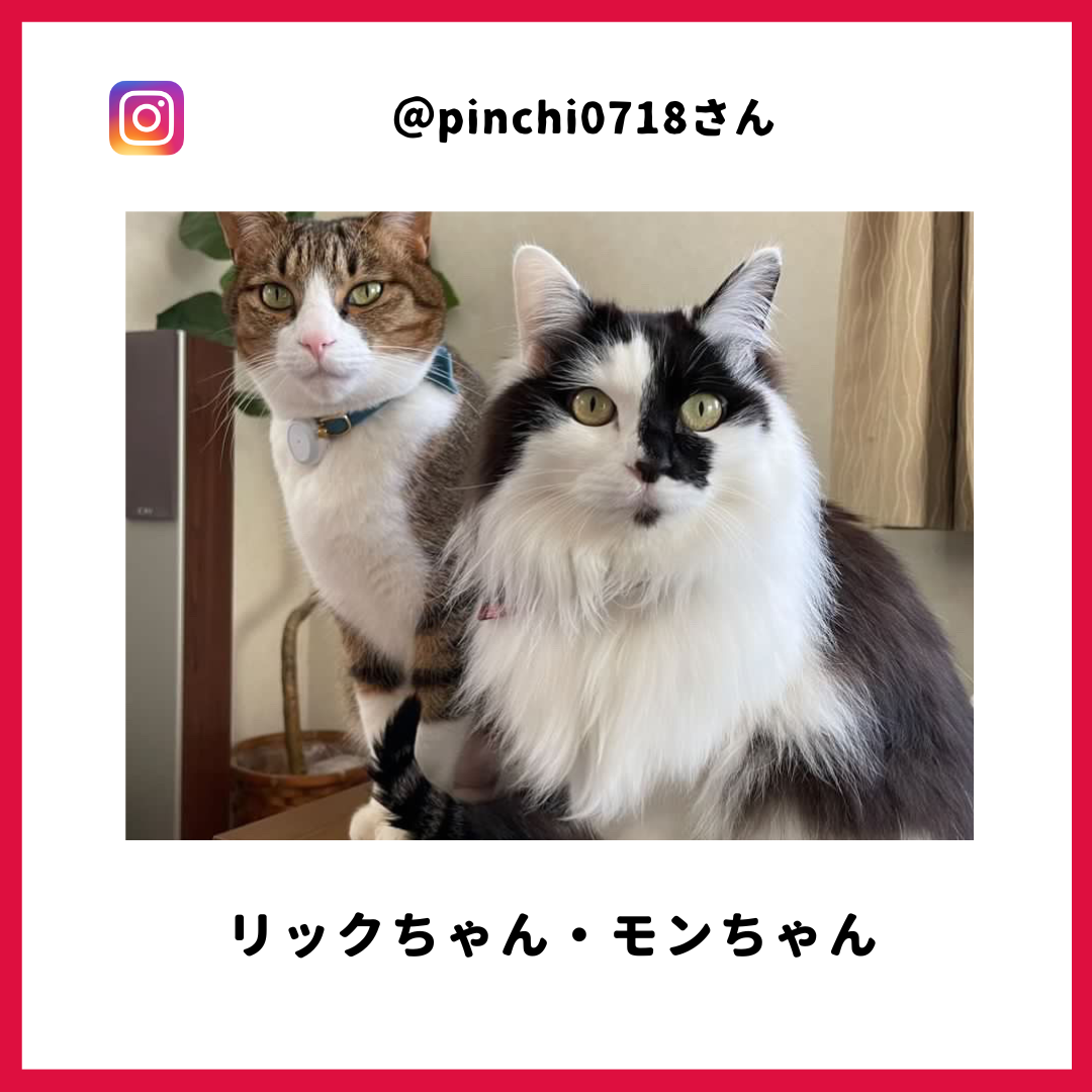 モンさん・リックさん