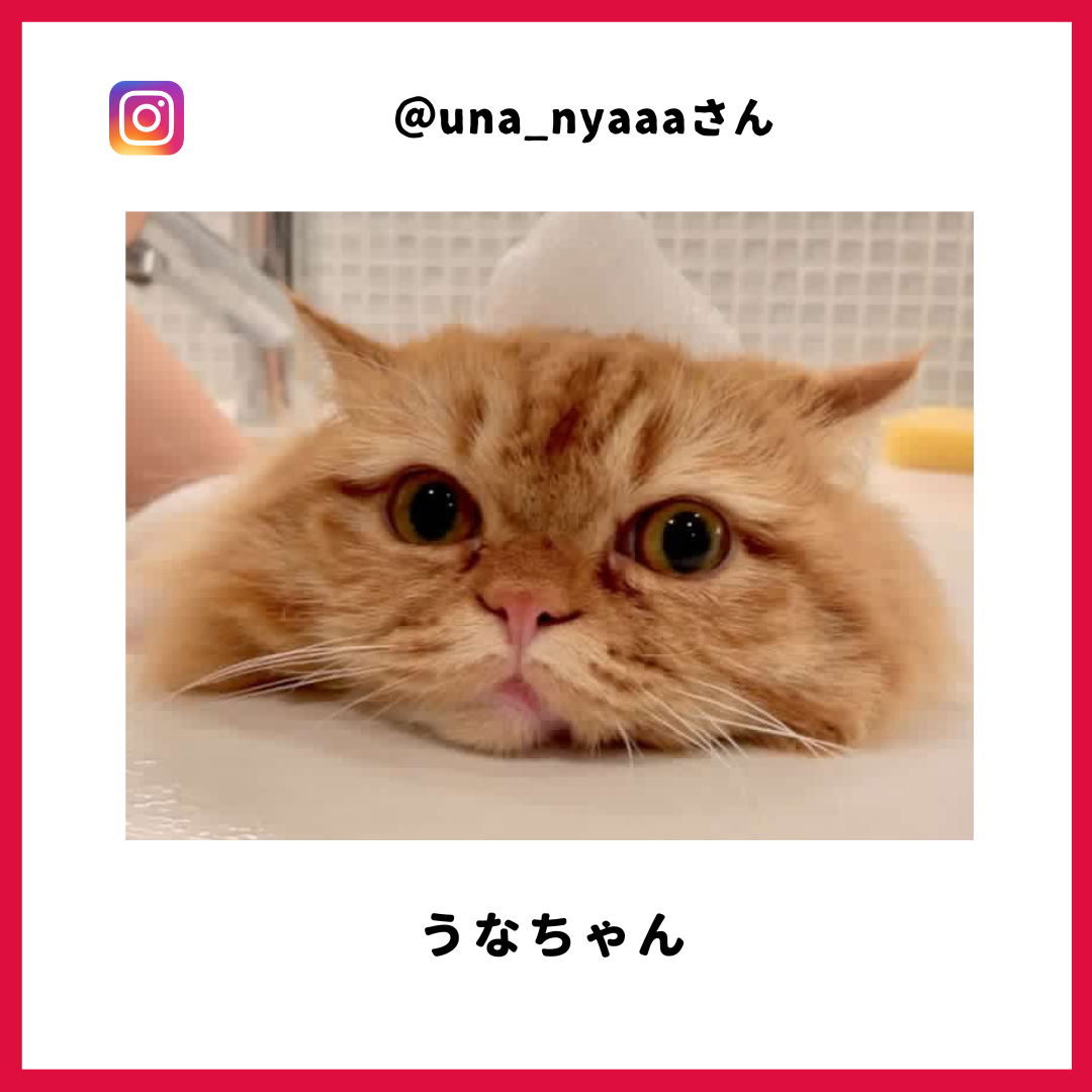 うなさん
