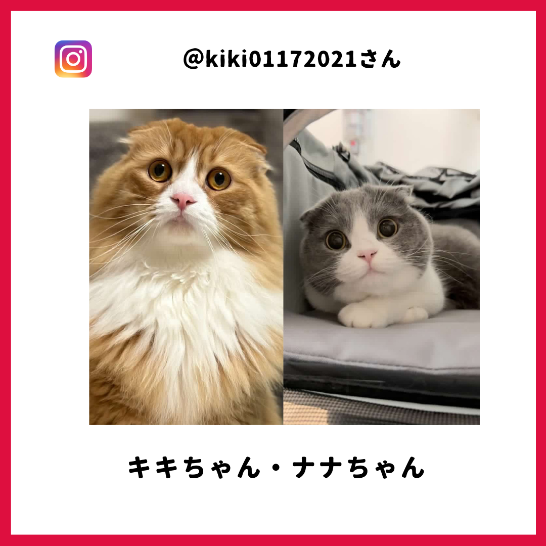 キキさん・ナナさん