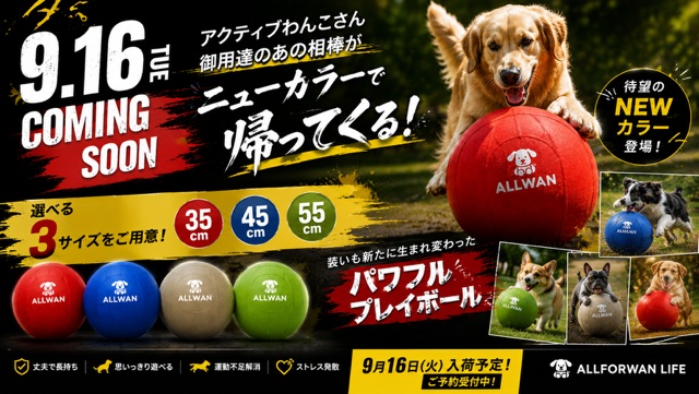パワフルプレイボール特集