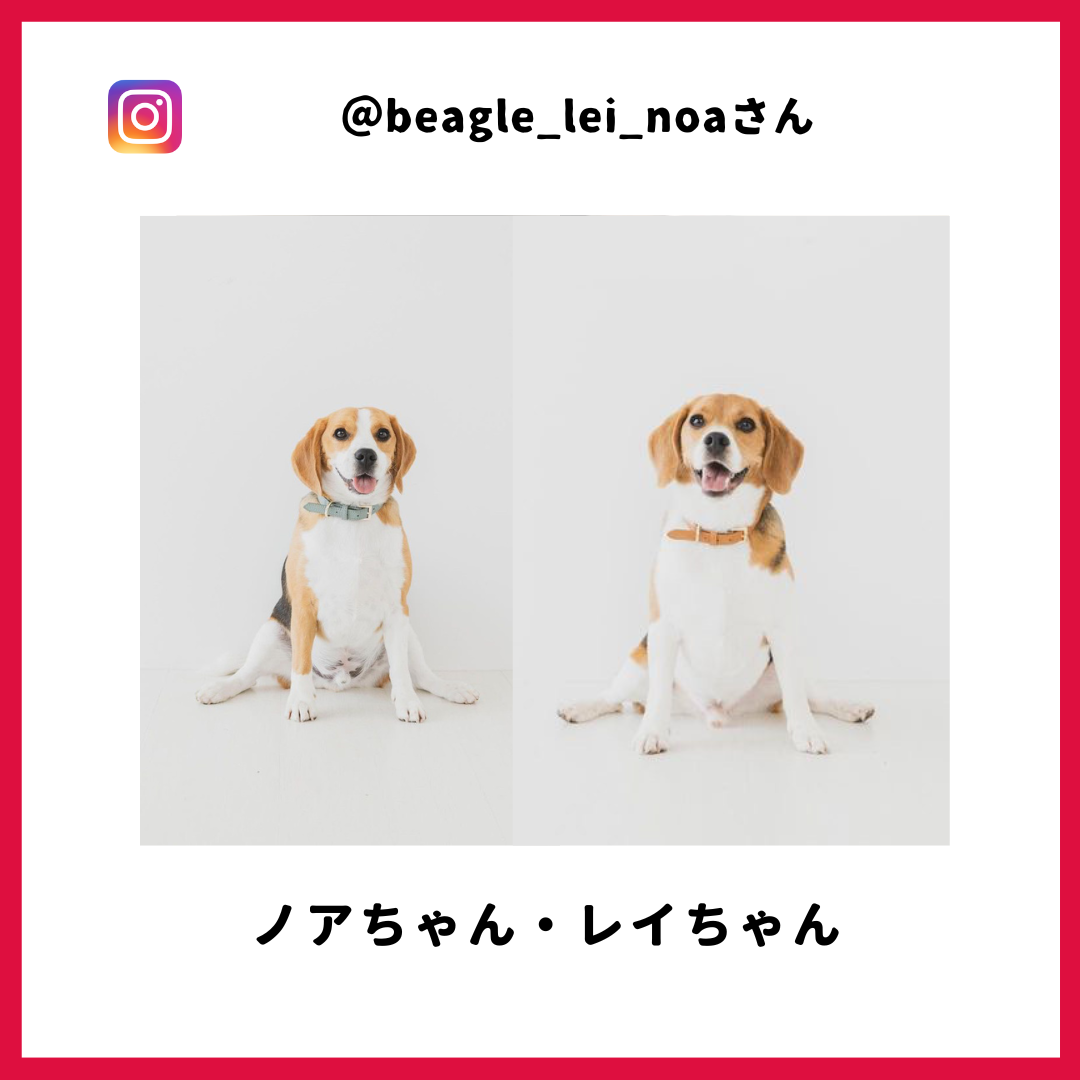 レイさん・ノアさん