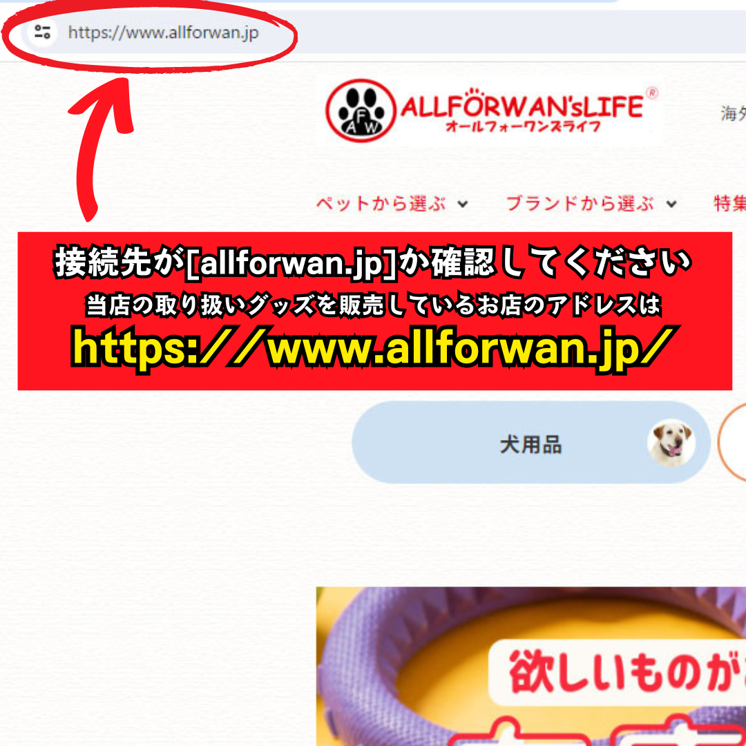 ALLFORWANの情報を無断使用した偽サイトの例