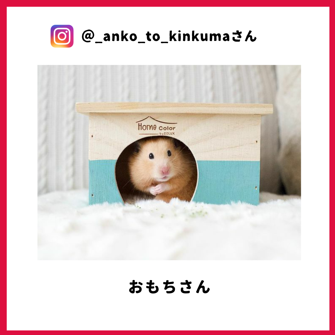 おもちさん