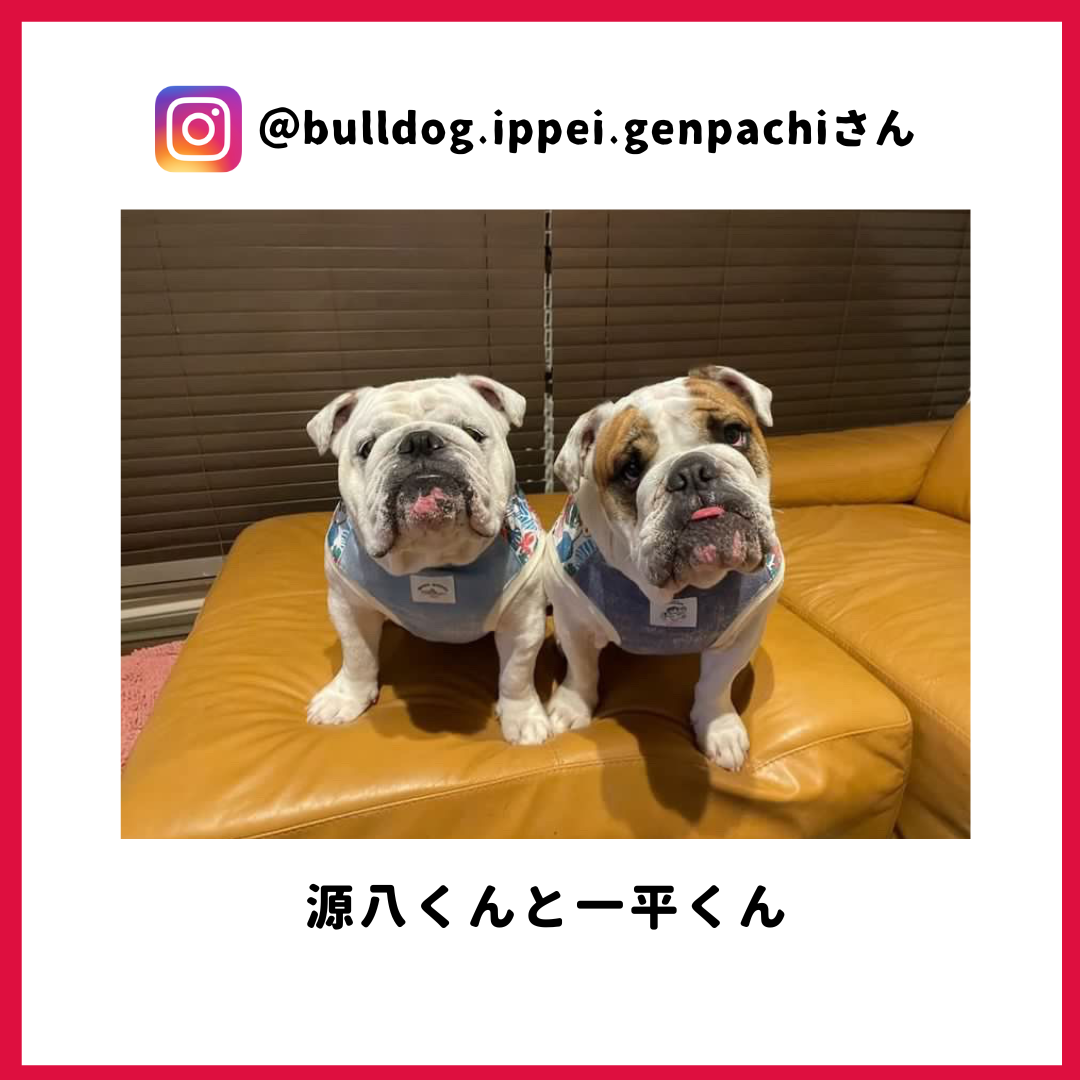 一平さん・源八さん