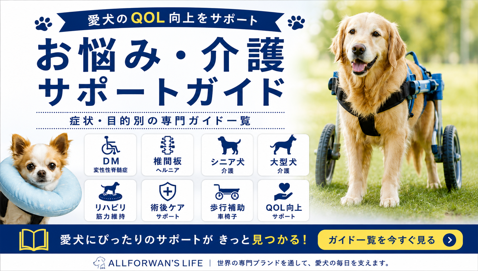 愛犬のお悩み・介護サポートガイド