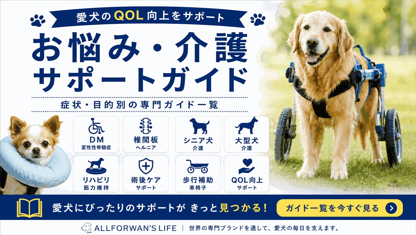 犬の介護・お悩みサポート完全ガイド