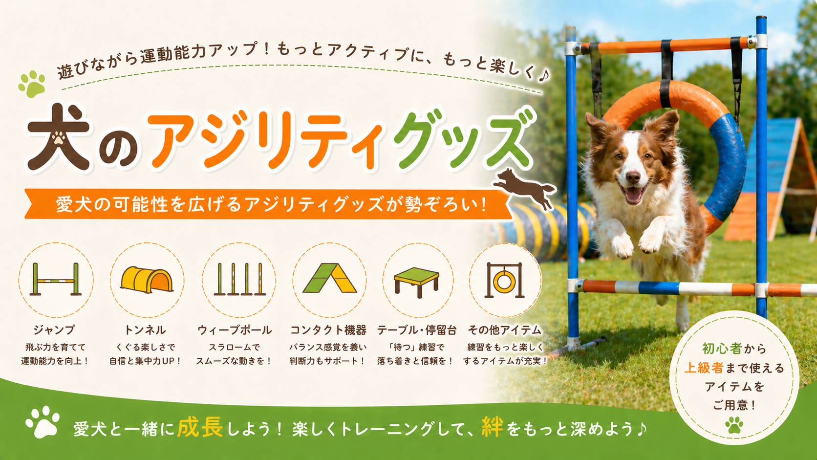 犬用アジリティグッズおすすめ TRIXIE比較 初心者から本格トレーニング