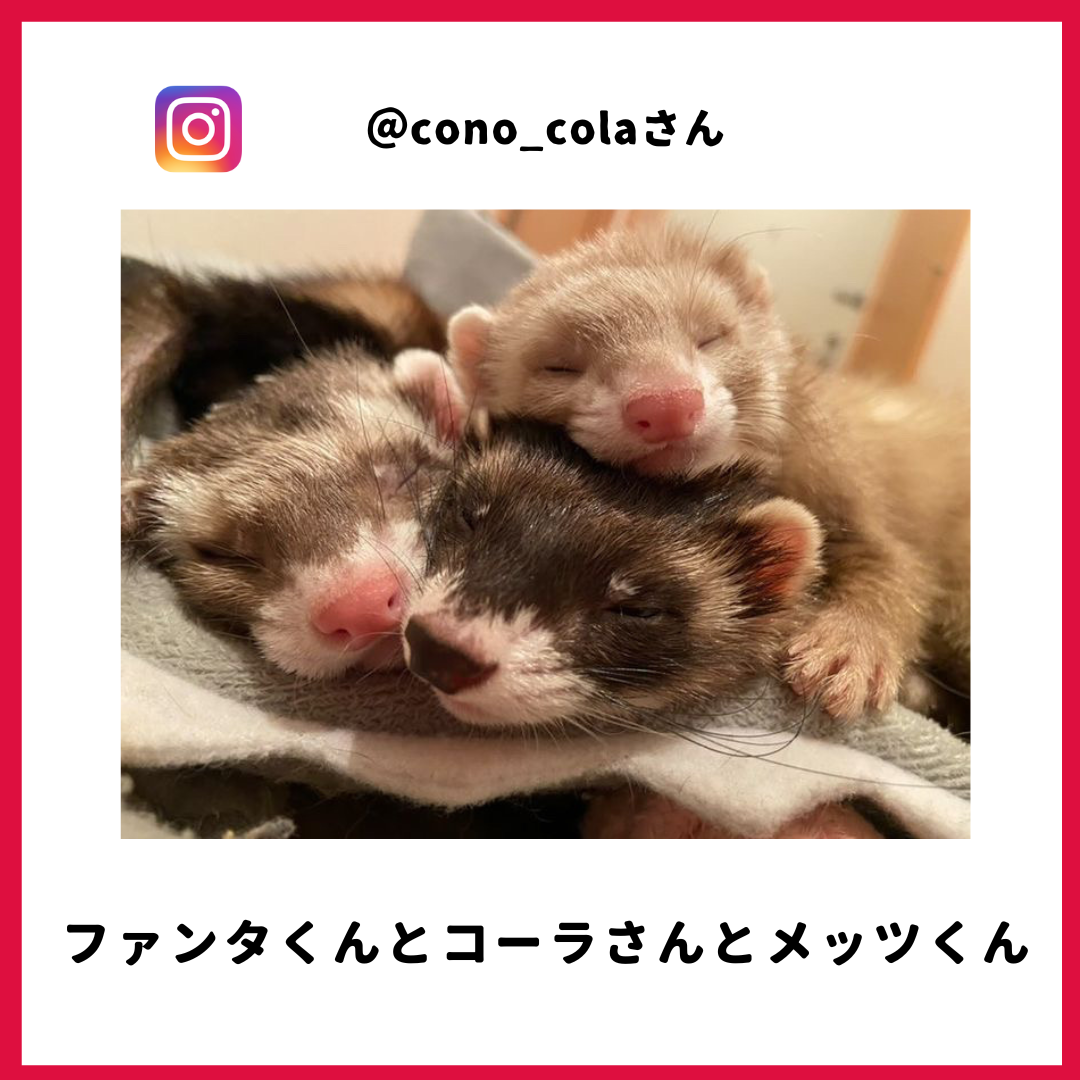 コーラさん・メッツさん・ファンタさん