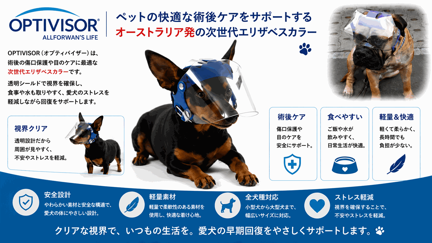 OPTIVISOR 犬用アイプロテクション 完全ガイド