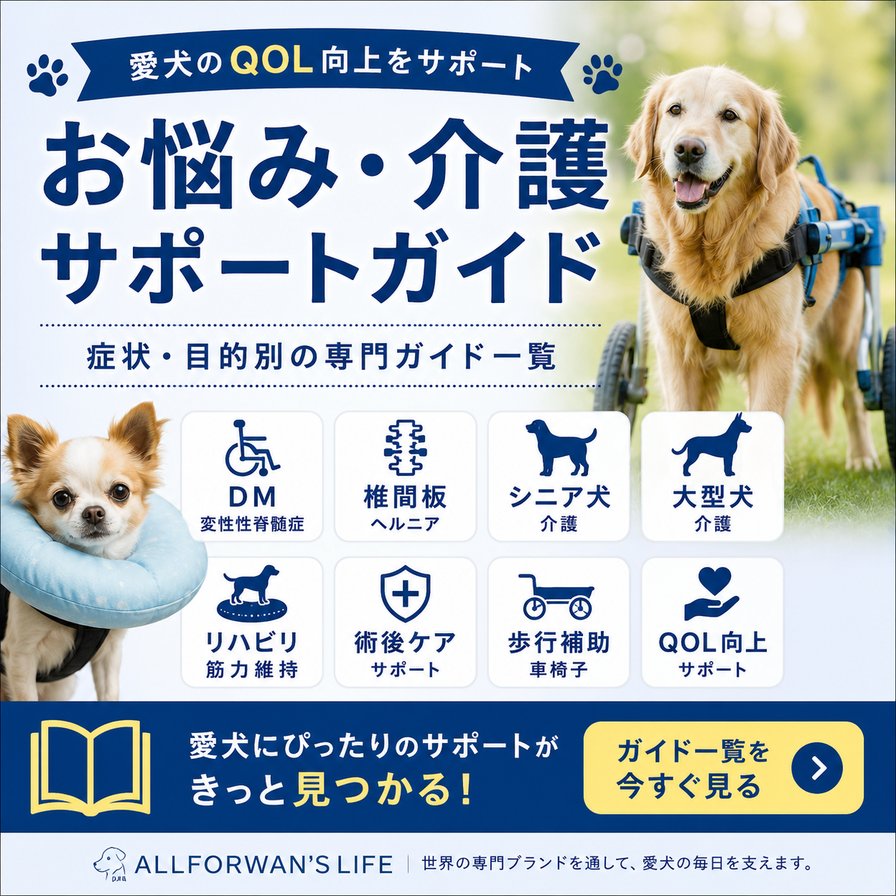 愛犬のお悩み・介護サポートガイド