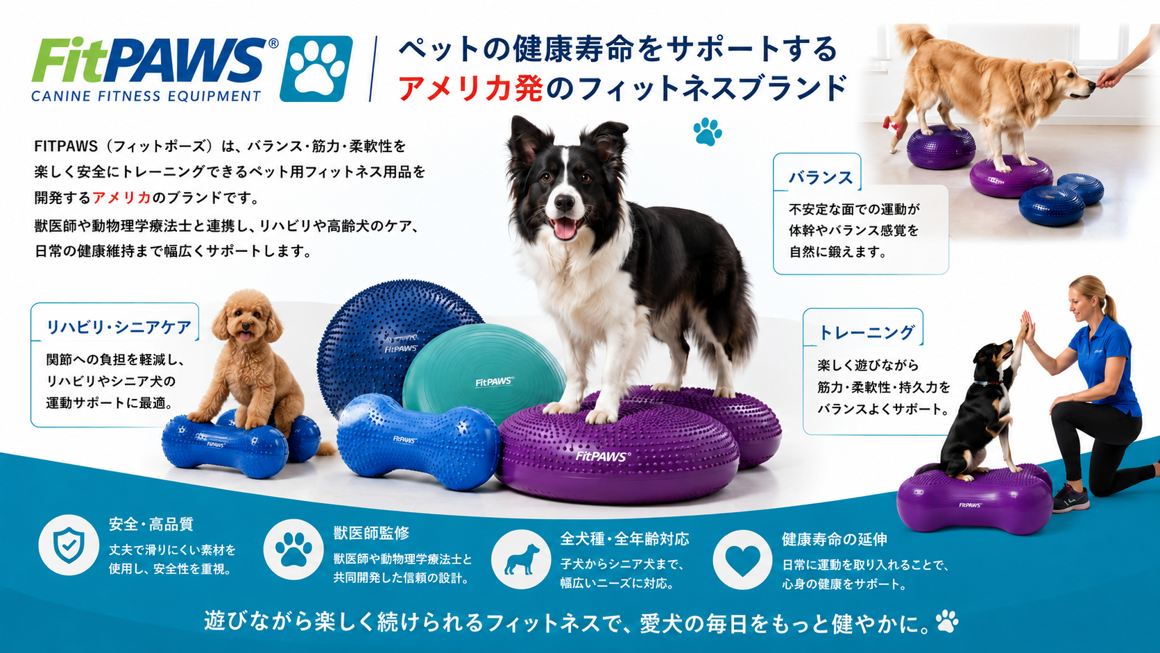 FITPAWS 体幹トレーニング完全ガイド
