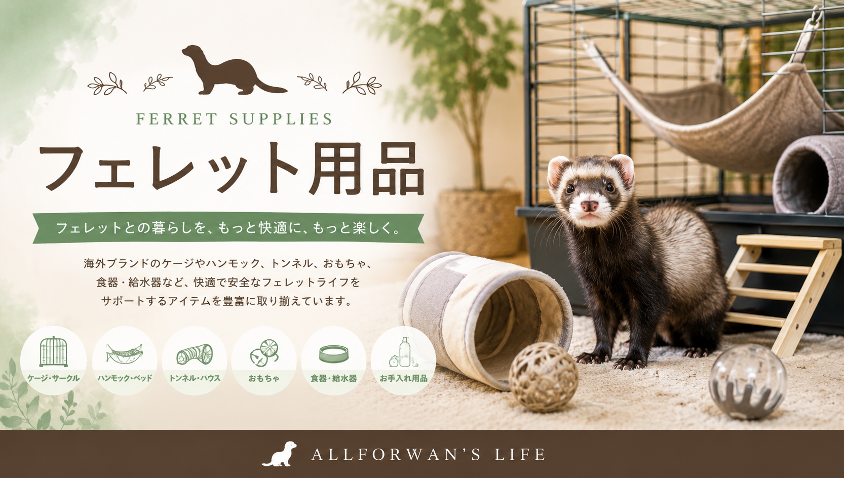 フェレット用品