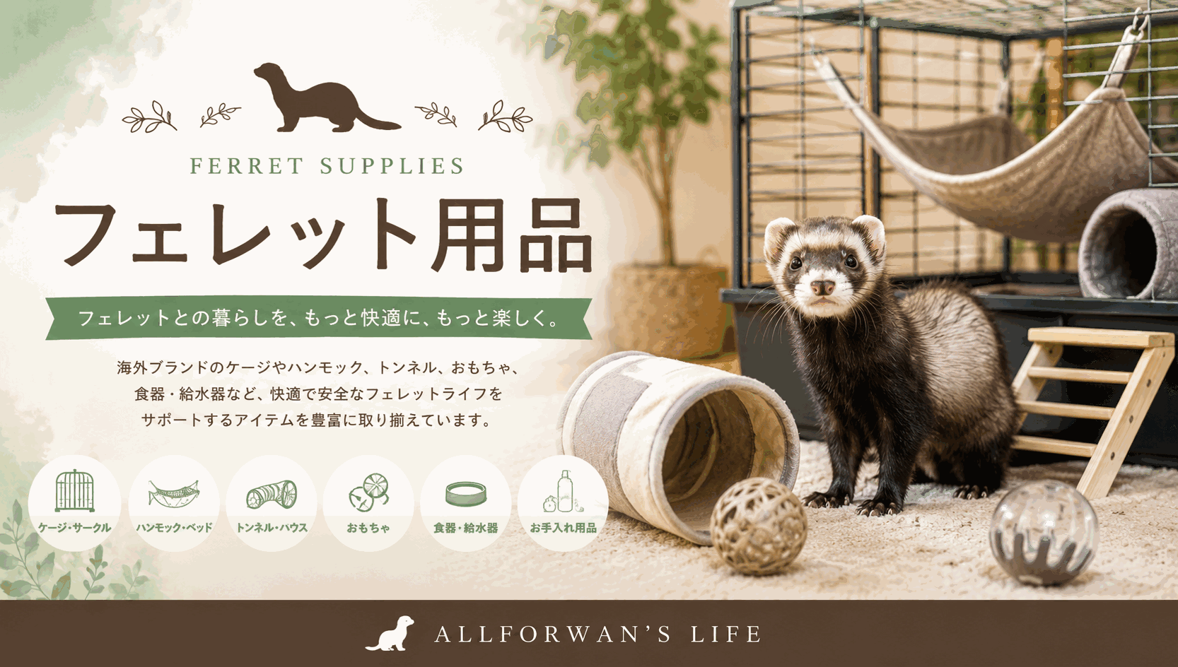 フェレット用品