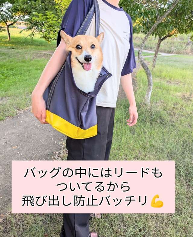 ALLWAN ODEKAKE キャリーバッグ 実使用写真6