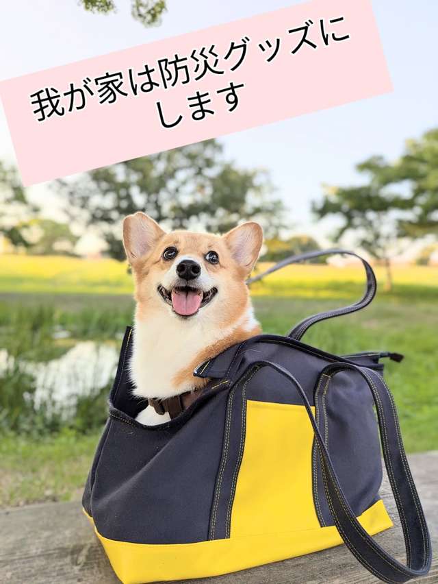 ALLWAN ODEKAKE キャリーバッグ 実使用写真4