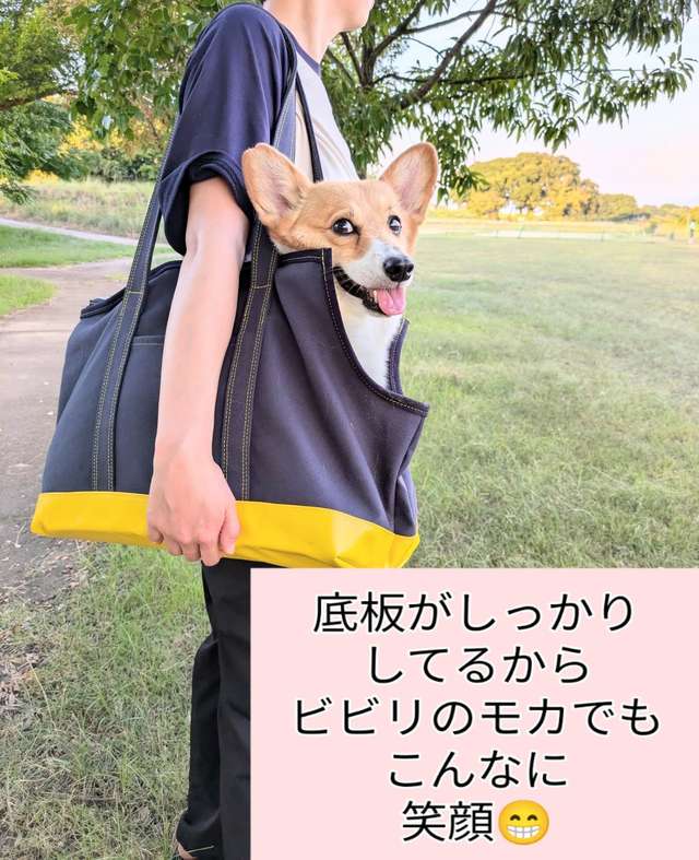 ALLWAN ODEKAKE キャリーバッグ 実使用写真3