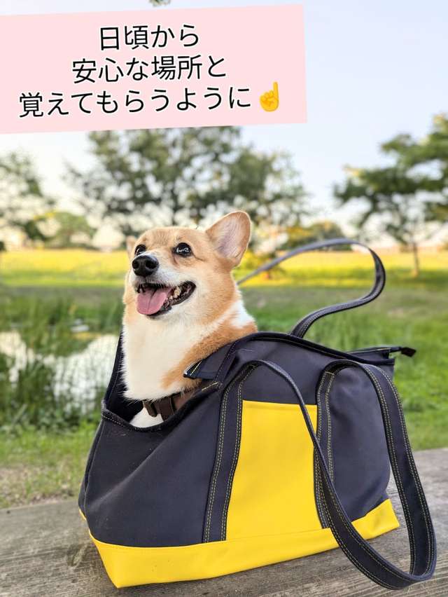 ALLWAN ODEKAKE キャリーバッグ 実使用写真2