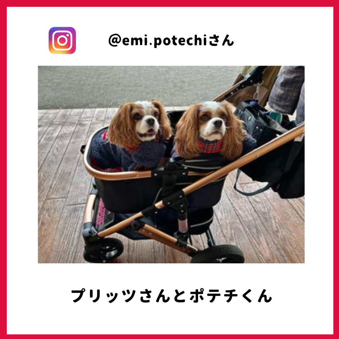 ポテチさん・プリッツさん