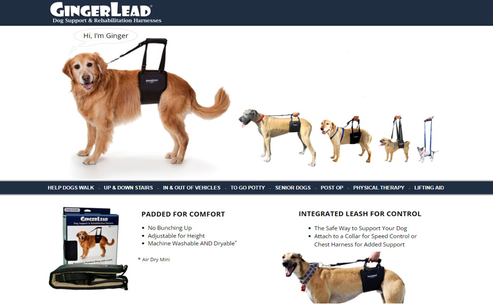 GingerLead 犬用歩行補助ハーネス