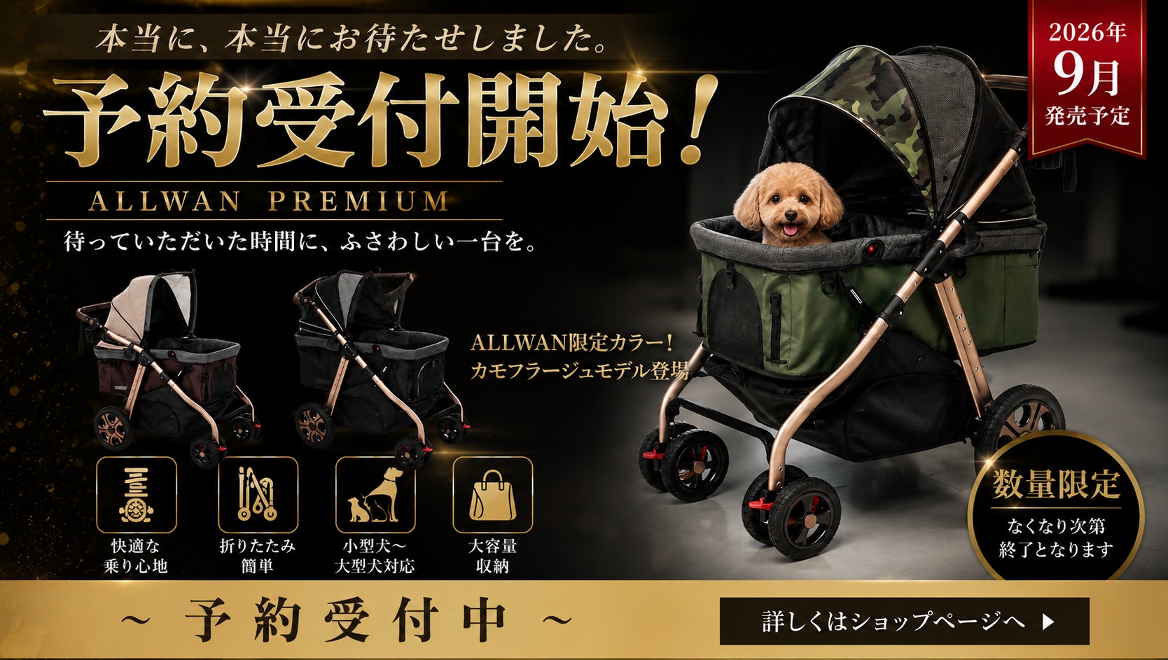 ALLWAN PREMIUM ご予約はこちら