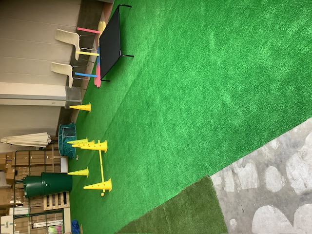 ALLWAN室内ドッグラン3