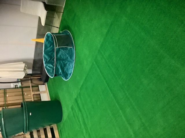 ALLWAN室内ドッグラン5