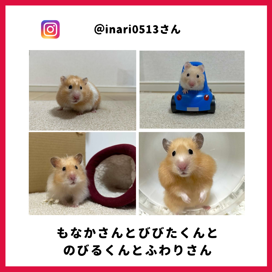 もなかさん・びびた君・のびる君・ふわりさん